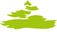 Le Cèdre