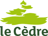 Le Cèdre